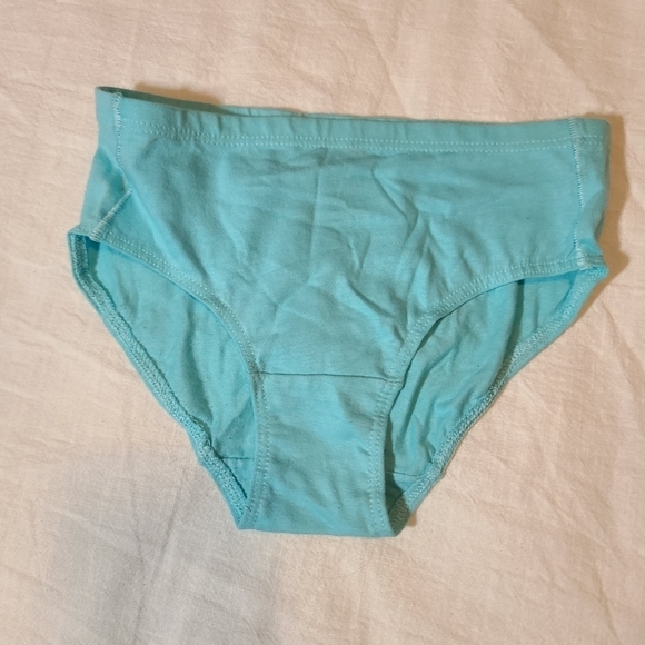 New 1 Pair Girl's Hanes Briefs, 4T-5T - Picture 3 of 3